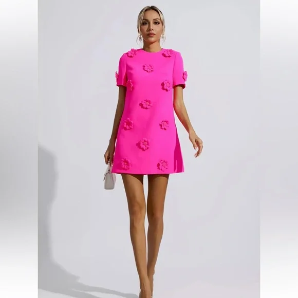 NWT Catchall Alison Pink Jacquard Floral Mini Dress - L - Picture 2 of 7